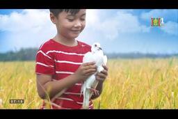 Chương trình An toàn phòng cháy chữa cháy phát sóng ngày 21/03/2020