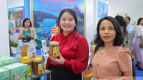 Quảng Ngãi thúc đẩy liên kết vùng, nâng giá trị sản phẩm OCOP