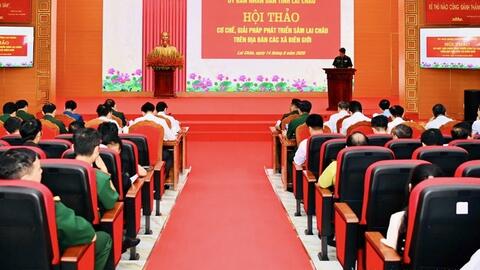 Lai Châu đặt mục tiêu phát triển 1.350 ha Sâm tại các xã biên giới