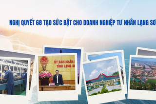 <a href="/kinh-te" title="Kinh tế" rel="dofollow">Kinh tế</a>
