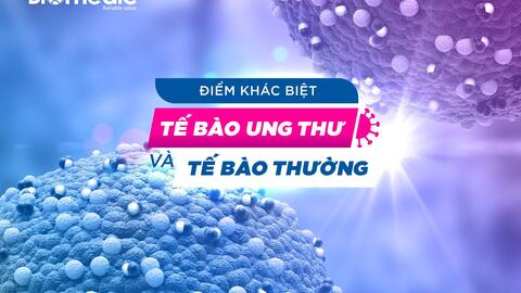 Thiết bị phân biệt tế bào khỏe mạnh và ung thư