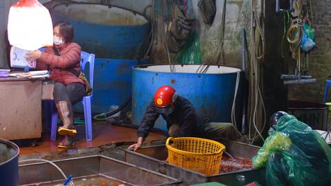 Chợ  "phương tiện" ông Công ông Táo trầm lắng, giá cá giảm người mua cũng giảm