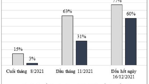 Tình hình kinh tế Việt Nam năm 2021 và triển vọng trong năm 2022