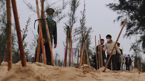Quảng Bình: "Tết trồng cây đời đời nhớ ơn Bác Hồ " Xuân Nhâm Dần năm 2022
