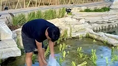 Nhã Phương khoe khoảnh khắc Trường Giang nô đùa với con gái, hé lộ sương sương cơ ngơi bạc tỷ ở vùng ngoại ô