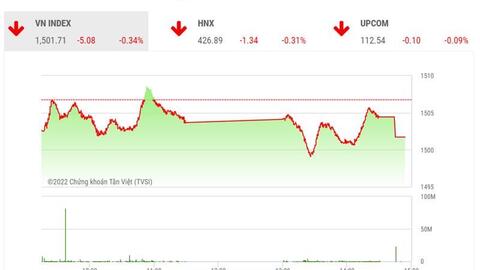 Tiền đổ vào dầu khí bất chấp VNINDEX giảm điểm