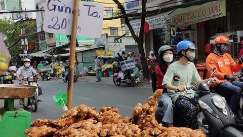 Giá gừng rẻ chưa từng có