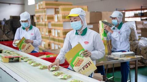 PAN Group chào mua 7,7 triệu cổ phiếu Bibica (BBC) giá 71.000 đồng/cổ phiếu, tiến đến thâu tóm 100% doanh nghiệp bánh kẹo