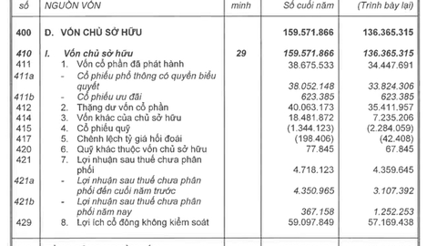 Lợi nhuận sau thuế chưa phân phối của VinGroup tăng 821 tỷ đồng sau kiểm toán