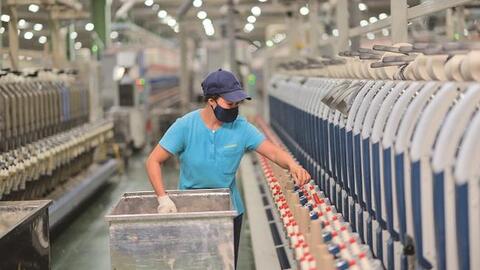 Hanosimex (HSM): Quý 1 lãi 47 tỷ đồng cao gấp 3 lần cùng kỳ