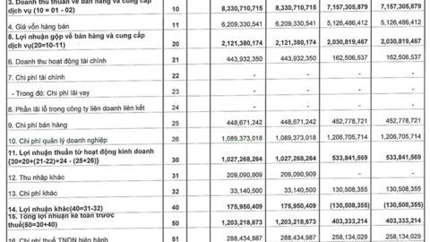 Gạch ngói Nhị Hiệp (NHC) báo lãi trước thuế Quý 1 tăng gấp 3 lần cùng kỳ 2021