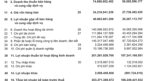 Ghi nhận 140 tỷ đồng từ doanh thu tài chính, I.P.A bão lãi sau thuế quý 1 gần 200 tỷ đồng, tăng trưởng 88%