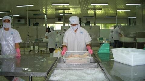 EVFTA "gỡ" hai “khúc mắc” cho kinh tế Việt Nam