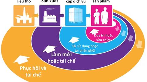 Kinh tế tuần hoàn: Giải pháp tối ưu cho sự phát triển bền vững của doanh nghiệp