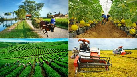 Nâng cao hiệu quả phát triển kinh tế nông nghiệp trong giai đoạn mới