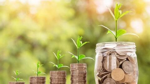 Sẽ có tiêu chí môi trường đối với dự án được cấp tín dụng xanh, phát hành trái phiếu xanh
