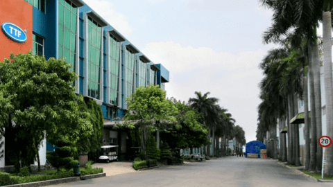 Gỗ Trường Thành (TTF) bị xử phạt vì công bố thông tin sai lệch số liệu báo cáo tài chính