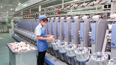 Damsan (ADS) nhận quyết định đầu tư gần 680 tỷ đồng vào cụm công nghiệp Ninh An