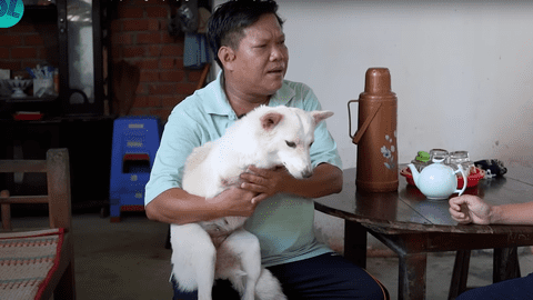 Cứu chú cún kỳ lạ bị bỏ rơi ven đường, 2 năm sau vợ chồng chạy xe ôm bỗng đổi đời