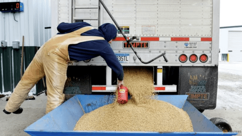 Trung Quốc bất ngờ mua nông sản Mỹ sau nhiều năm