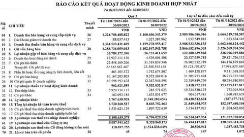 Kinh doanh thép gặp khó, một doanh nghiệp đem tiền đầu tư chứng khoán, “kẹp” nặng với NVL, VIX, IJC…