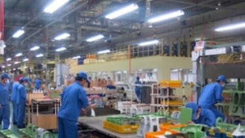 Doanh nghiệp tăng cường chuyển đổi số và phục hồi xanh để phát triển thị trường