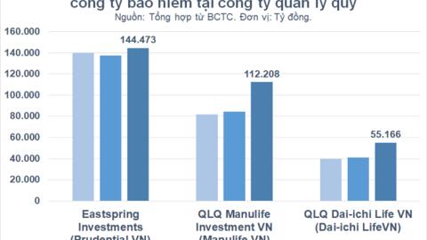 Danh mục đầu tư hàng chục tỷ USD của các công ty bảo hiểm đang được phân bổ thế nào?