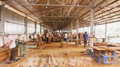 Xuất khẩu lâm sản tăng trên 47%