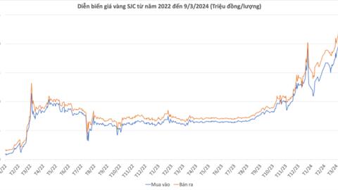 Giá vàng liên tục phá đỉnh: Nên mua vàng miếng hay vàng nhẫn?