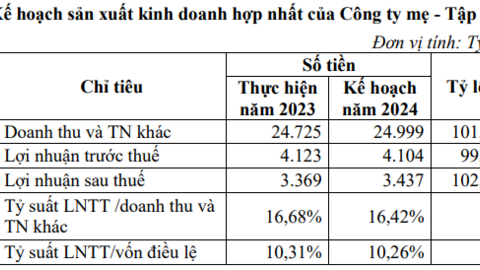 GVR lên kế hoạch 2024 thận trọng, chuẩn bị chi 1.200 tỷ trả cổ tức