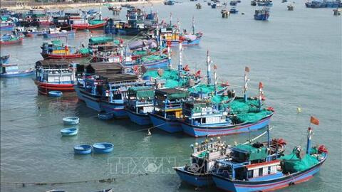 Khắc phục "thẻ vàng" IUU: Ninh Thuận giám sát chặt chẽ tàu cá