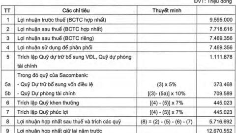Sacombank chưa có kế hoạch chia cổ tức trong năm 2024