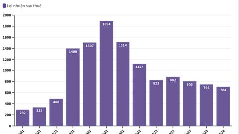 Hoá chất Đức Giang (DGC) có kế hoạch gì với hơn 9.500 tỷ tiền nhàn rỗi hiện có?