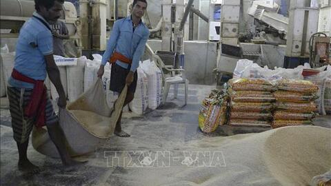 Giá gạo và cà phê thế giới đồng loạt giảm trong tuần qua