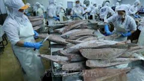 Xuất siêu nông, lâm, thủy sản đạt gần 12 tỷ USD, tăng 68%