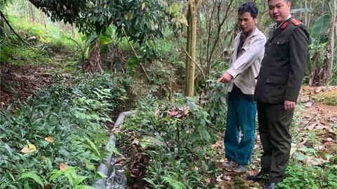 Xử phạt hơn 100 triệu đồng chủ trang trại lợn gây ô nhiễm ở Phú Thọ