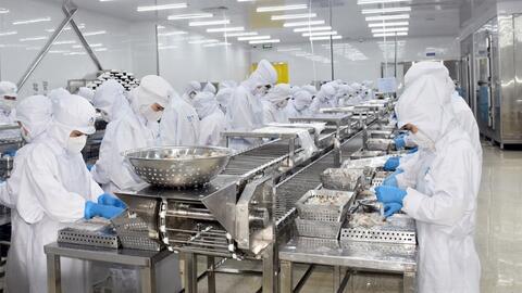 Cà Mau tăng tốc trở thành trung tâm chế biến nông - thủy sản quy mô lớn