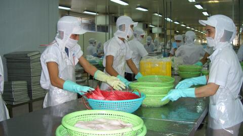 Xuất khẩu thủy sản quý II dự báo tăng nhưng phân hóa theo thị trường