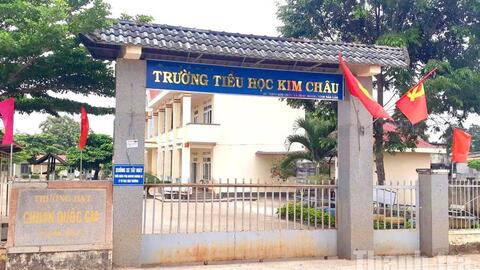 Hiệu trưởng bị cách chức vì chỉ đạo giả mạo chữ ký, hợp thức hóa hồ sơ trục lợi