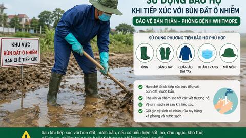 Bộ Y tế cảnh báo bệnh Whitmore: Diễn biến nặng, nguy cơ tử vong cao nếu chủ quan