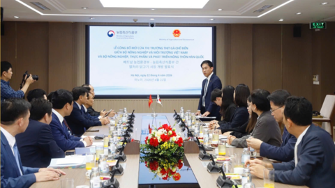 Thịt gà chế biến Việt Nam tăng cơ hội xuất khẩu sang thị trường Hàn Quốc