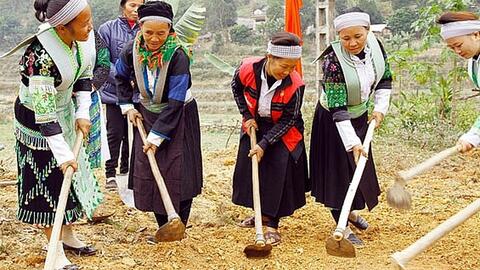 Phấn đấu tăng thu nhập bình quân của người dân tộc thiểu số