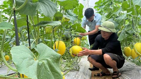 Tạo động lực mới cho phát triển nông thôn, giảm nghèo bền vững ở Lai Châu