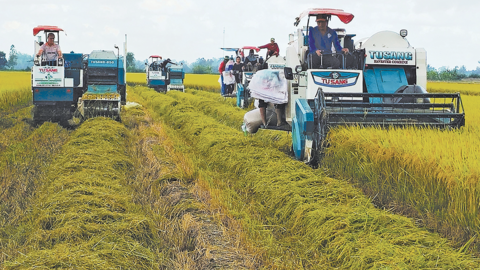 Nông nghiệp phát thải thấp mở đường nâng giá trị nông sản Việt