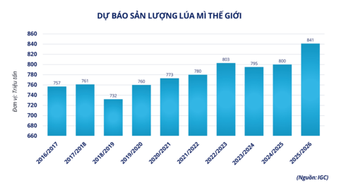 Giá ca cao tăng vọt hơn 9% bất chấp áp lực điều chỉnh trên nhiều mặt hàng