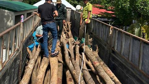 Đắk Lắk: Tháo gỡ vướng mắc để sớm phê duyệt phương án sử dụng đất tại hai công ty nông, lâm nghiệp
