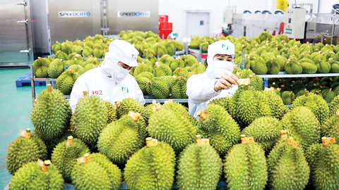Xây dựng chuỗi giá trị bền vững để nông sản chinh phục thị trường tỷ dân
