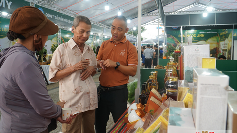 Đà Nẵng: Thúc đẩy xuất khẩu sâm Ngọc Linh và dược liệu