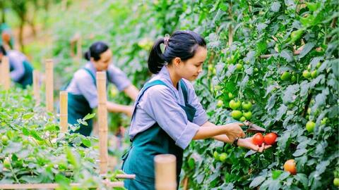 Trọng tâm mở rộng thị trường xuất khẩu lao động thu nhập cao