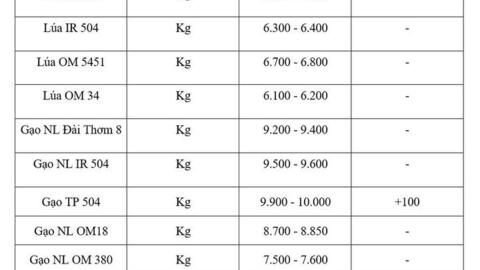 Giá lúa gạo hôm nay ngày 14/8/2026: Gạo nguyên liệu xuất khẩu tăng